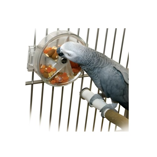 Interactive Wheel Toy for Birds