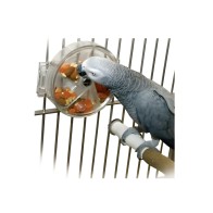 Juguete Rueda Interactiva para Aves