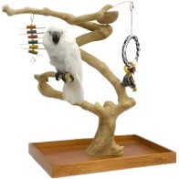 Sun Parrots Arbol Mini Medium - Área de Juego Divertida para Loros