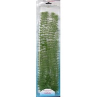 Planta Ambulia Plus (28-33cm) San Dimas