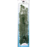 Planta Cabomba Plus 28-33cm de San Dimas