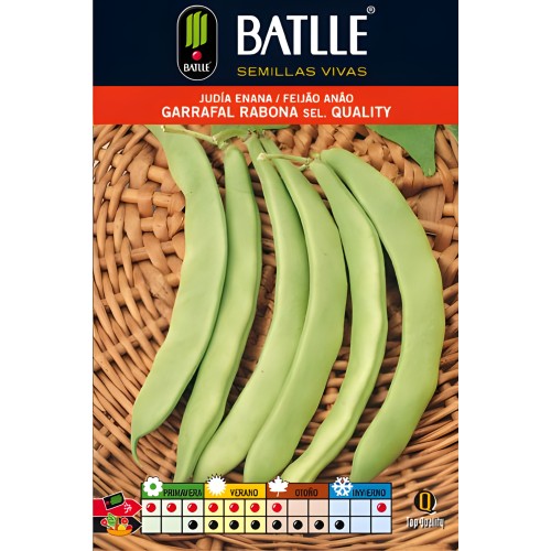 Garrafal Dwarf Bean Seeds - 100g - Perfect for Home Gardening