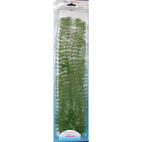 Ambulia Plus Plant (46cm)