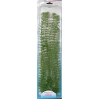 Ambulia Plus Plant (46cm)