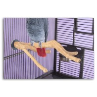 Java Multi-Branch Perch for Birds - Natural & Engaging