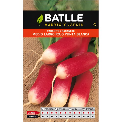 Rabanito Medio Largo Rojo P.blanca.sobre - Fácil de Cultivar