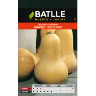 Semillas de Calabaza Anquito-Butternut de Batlle