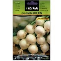 Cebolla Blanca De La Reina Sobre