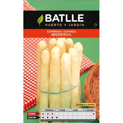 White Asparagus Argenteuil Seeds - Delicious Homegrown Asparagus