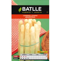 White Asparagus Argenteuil Seeds - Delicious Homegrown Asparagus