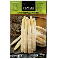 White Asparagus Argenteuil Seeds - Delicious Homegrown Asparagus