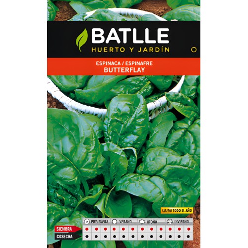 Semillas de Espinaca Butterflay de Batlle para Jardinería en Casa Fácil