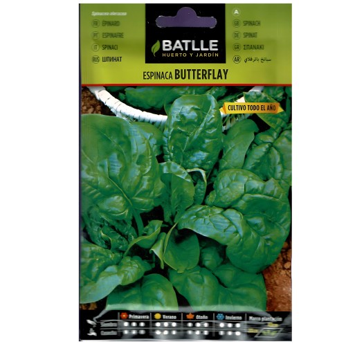 Espinaca Butterflay Sobre - Jardinería Nutritiva