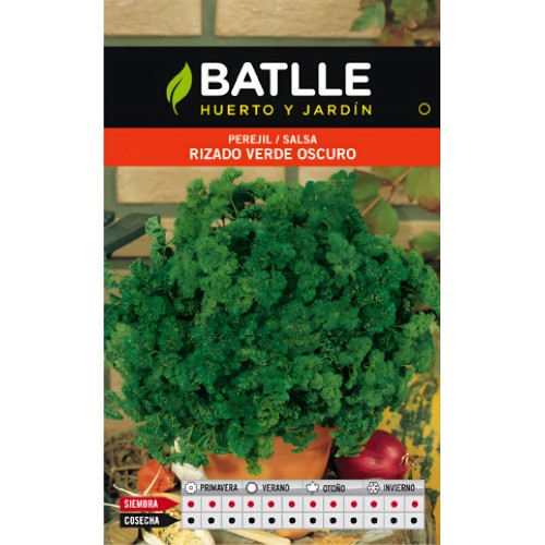 Dark Green Curly Parsley