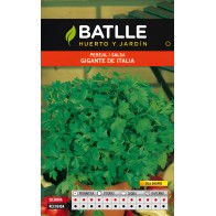 Giant Italian Parsley Seeds - Premium Quality