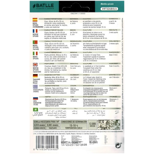 Menta Spicata (hierbabuena) Semillas - Hierba Aromática para Cocinar