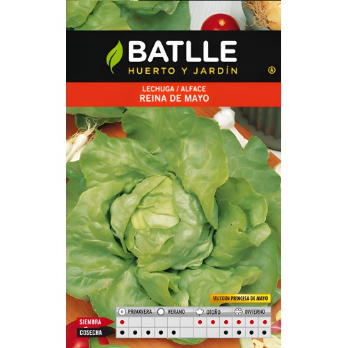 Semillas de Lechuga R. Mayo-Princesa - Cultiva Verduras Frescas