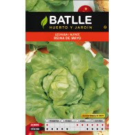 Lettuce R. Mayo-Princesa Seeds - Grow Fresh Greens