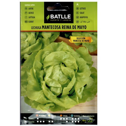 Semillas de Lechuga R. Mayo-Princesa - Cultiva Verduras Frescas