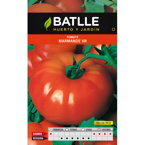Tomato Marmande Vr. Holland Packet