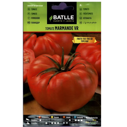 Tomato Marmande Vr. Holland Packet