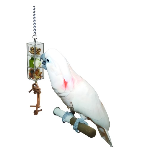 Sliding Doors Toy for Birds - Interactive Fun