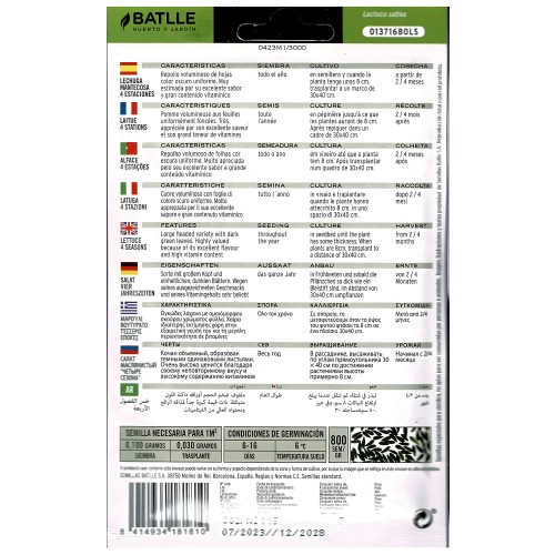Batlle Lettuce 4 Seasons Seeds - Home Gardening