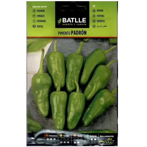 Semillas de Pimiento Del Padron de Batlle