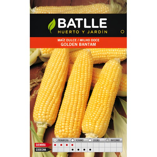 Sweet Corn Golden Bantam Seeds