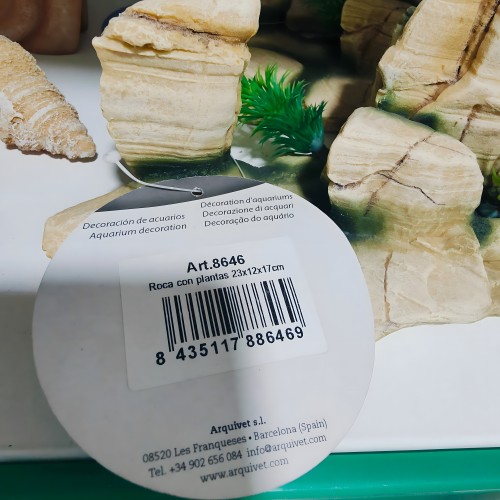 Roca Decorativa Con Planta 23x12x17cm