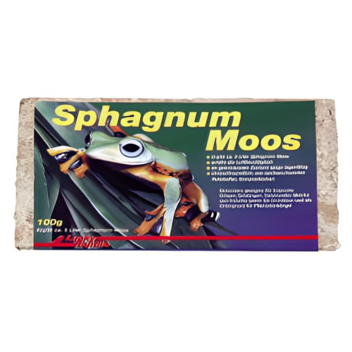 Lucky Rep Spaghnum Moss - Ideal para Terrarios