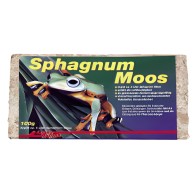 Lucky Rep Spaghnum Moss - Ideal para Terrarios