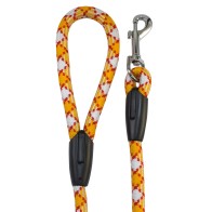 Blue and White Mountain Rope Leash