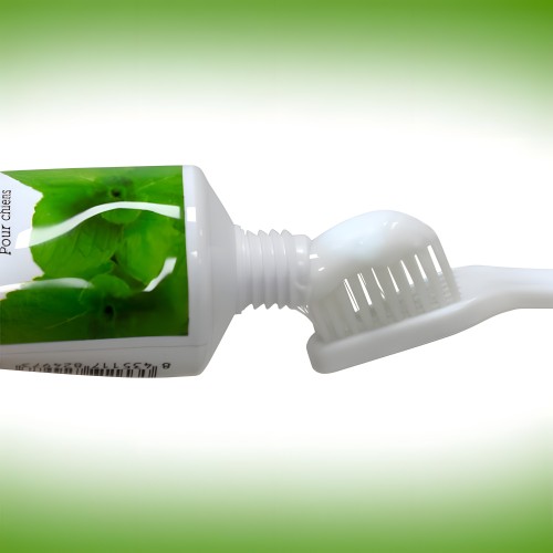 Pasta Dentífrica para Perros Arquivet 100g - Aliento Fresco y Cuidado Dental