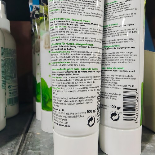 Mint Flavored Dog Toothpaste - 100g