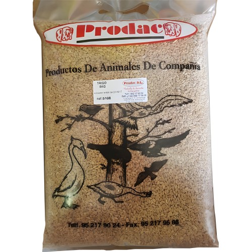 Wheat (25 Kg)