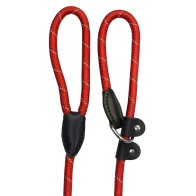 Reflective Nylon Leash and Collar Red