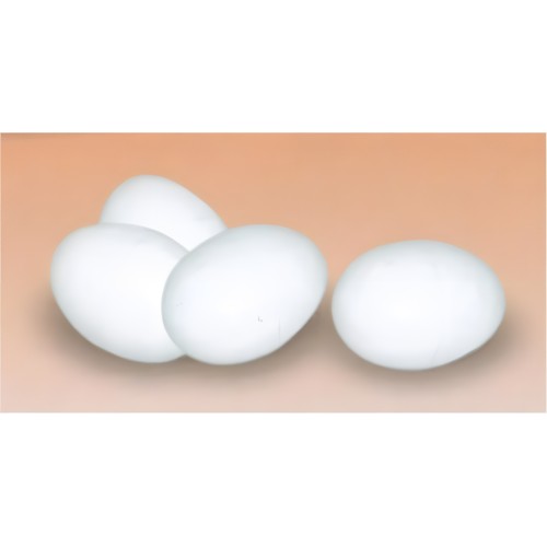 Huevos de Plástico para Gallinas Gaun - Diseño Realista
