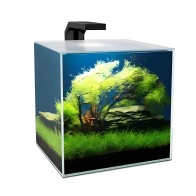 Acuario Cube Aqua 10 Lts. Con Filtro Cf20