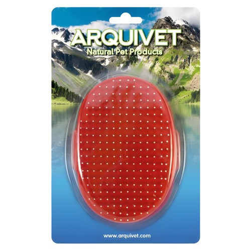 Arquivet Brush with Metal Pins