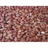 Shelled Peanuts 500g