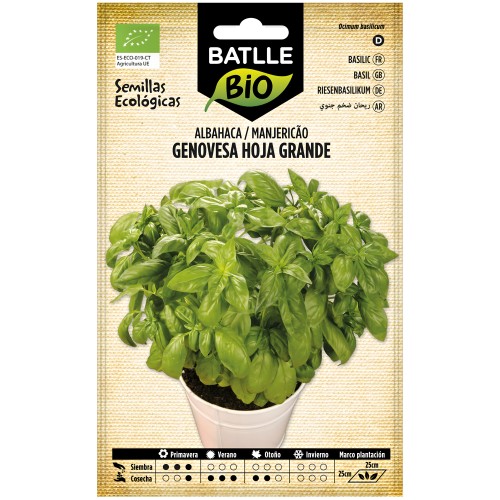 Genovese Basil Seeds - Eco-Friendly