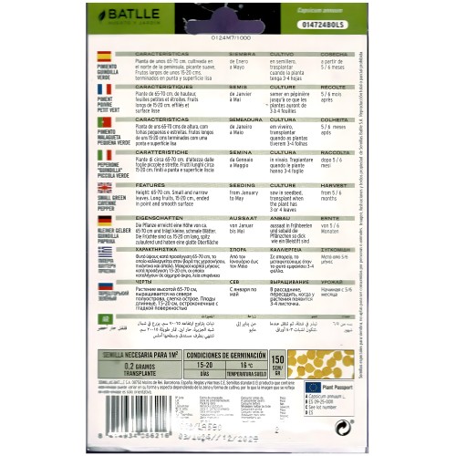 Green Chili Pepper Plant