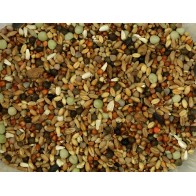 Vinci Partridge 25 Kg