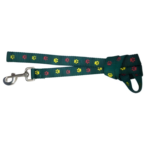 Green Nylon Leash with Paw Print - Durable and Stylish