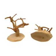 Java Mini Tree, Coffeewood Base-xs
