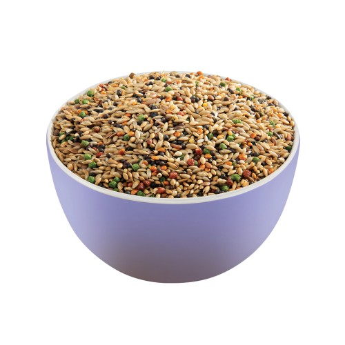 Versele-Laga Premium Goldfinch Seed Mix 800g