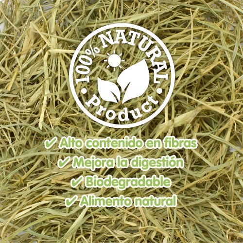 Heno Arquivet 1 Kg para Roedores - Fibra Natural Saludable