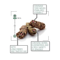 Versele Laga Cavia Complete 1.75 Kg para Cobayas