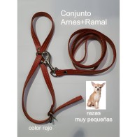 Conjunto de Arnés y Ramal de Cuero Rojo para Razas Pequeñas de Mabel